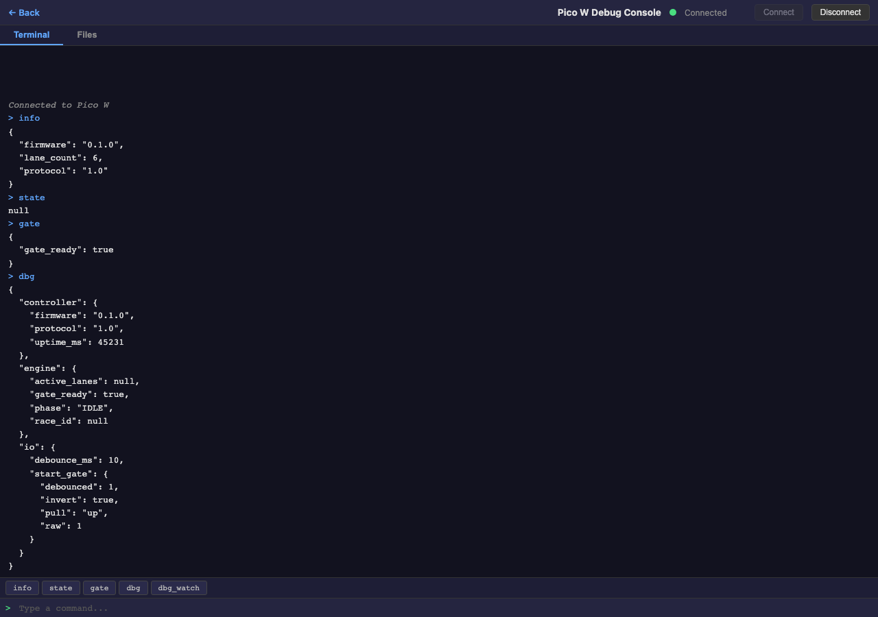 Pico Debug — Terminal